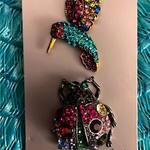Hummingbird & Ladybug Brooch